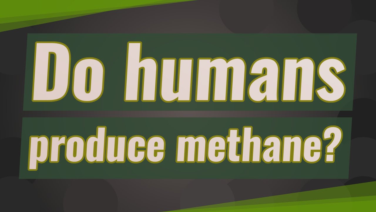Do humans produce methane?