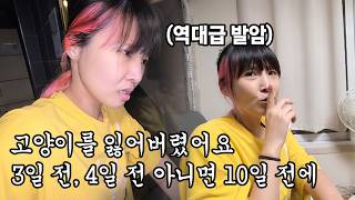 고양이 잃어버린 32살 아이돌 지망생녀