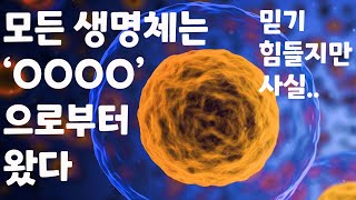 이것이 모든 생명체의 공통점이다 I 우주의 시작부터 생명의 탄생