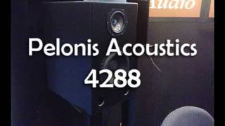 Pelonis 4288 Monitor Speakers