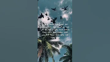 ياطير الطاير قلو حالات واتساب اشتركو بالقناه حبايب قلبي كلام من القلب مسائكم سعاده لاتنتهي 