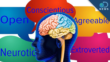 The Big 5 Personality Traits