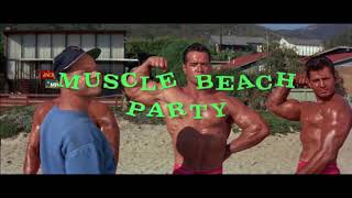 The Beach Party Genre