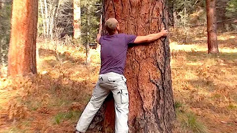 Tree Hugging Meditation