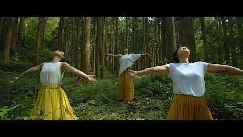 Beautiful Dancers In A Japanese Forest