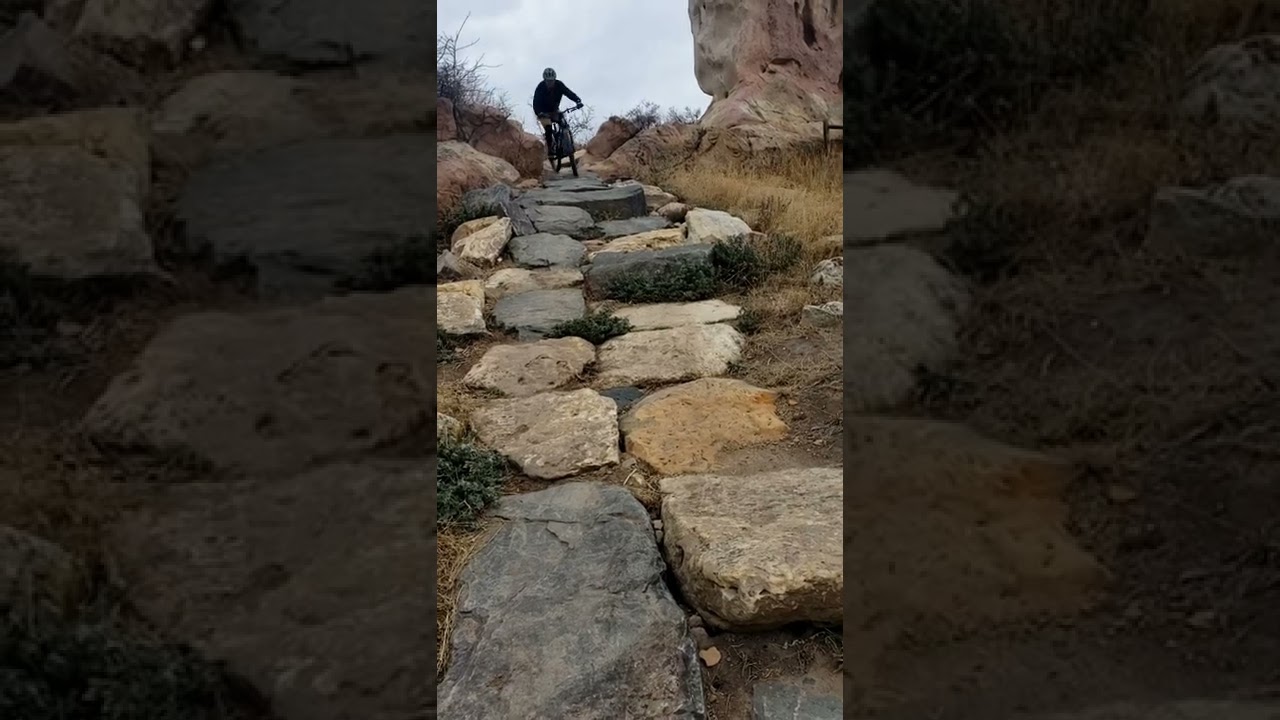 Gilbert at Green Mountain