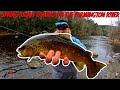 Spring Trout Fishing on the Farmington River