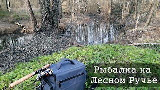 В ЛЕСНОМ РУЧЬЕ МНОГО РЫБЫ.  Плотва на Спиннинг и Поплавок.