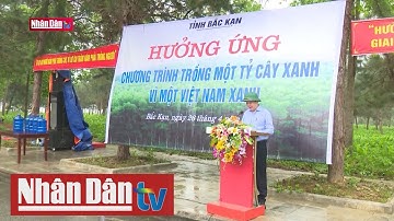 Bắc Kạn hưởng ứng chương trình trồng một tỷ cây xanh