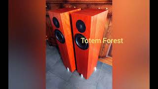 Totem Forest demo + inside photos and measurements with microphone