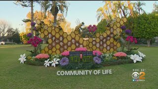 No Rose Parade In Pasadena For First Time In 75 Years