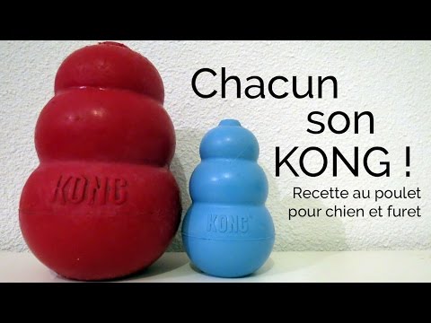 recette-|-kong-au-poulet-(pour-chien-et-furet)