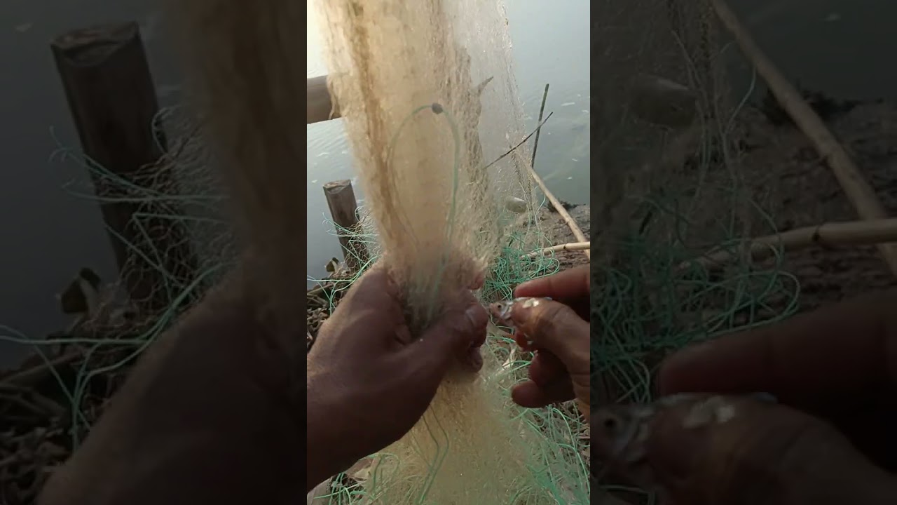 เก็บแล้วครับข่ายรอบสุดท้าย