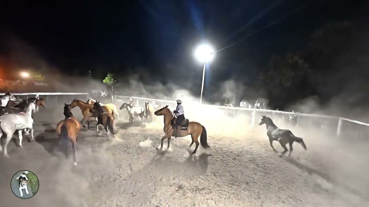 APARTE DE YEGUARIZOS  (III)