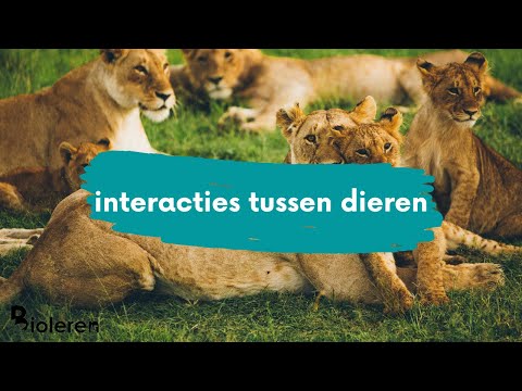 Bioleren - interacties tussen dieren