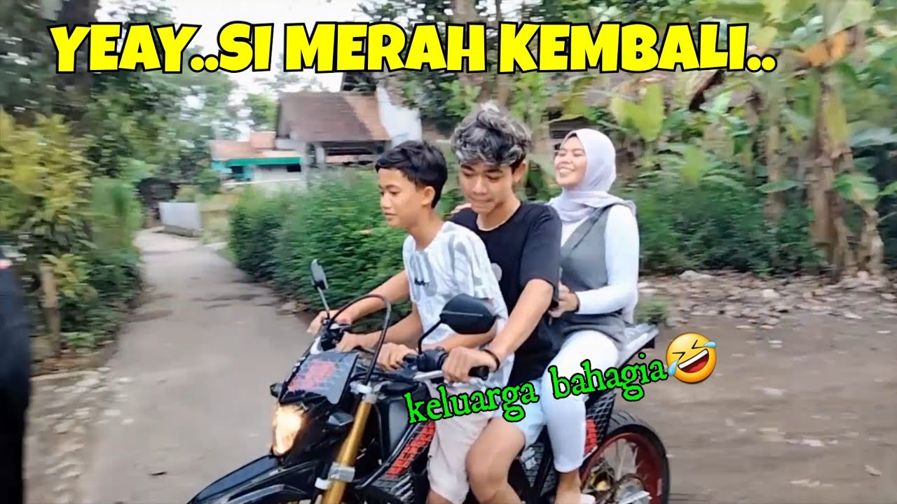 YEAY...SIMERAHNYA NEMO KEMBALI