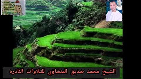 التلاوة الاسطورية للشيخ محمد صديق المنشاوي سورة الزخرف
