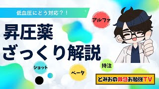低血圧にどう対応?昇圧剤をざつくり解説