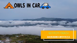 ゆとりすとパークおおとよ