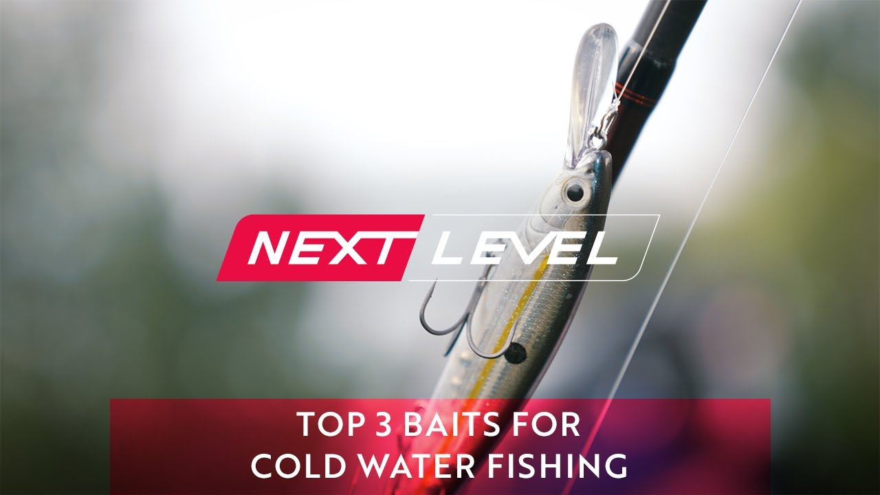Andy Montgomery's 3 Favorite Cold Water Bass Fishing Baits [NEXT LEVEL]