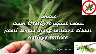 andai daun ganja dijual bebas