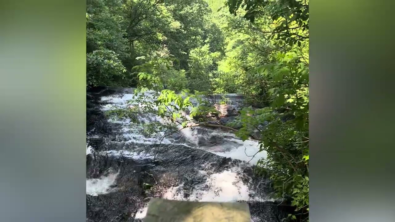 The Quiet Shift: Episode2 - Anticipatory Grief 