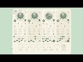 Groei Drum Machine Tutorial 🎵