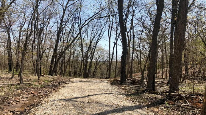 355 Acres - County Road 4053, Portland, MO Present...