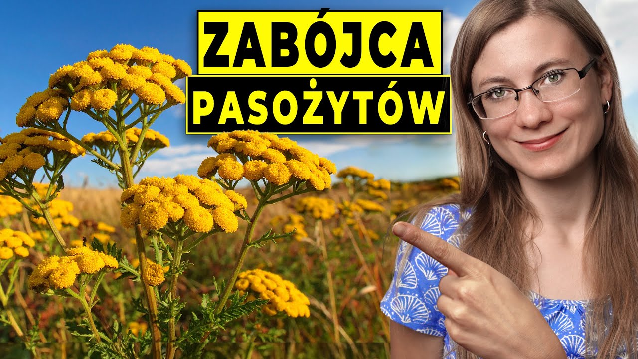 Najlepszy a Zakazany. Pokona Pasożyty, Wirusy, Bakterie i Grzyby