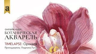 Орхидея | Онлайн курс «Ботаническая акварель» Орхидея | Онлайн курс «Ботаническая акварель»