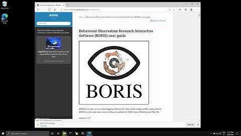 Download and launch BORIS for Windows 10