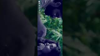 Download Lagu Minnale Nee Vanthathenadi | May Maadham | A. R. Rahman | S. P. Balasubramaniyam MP3