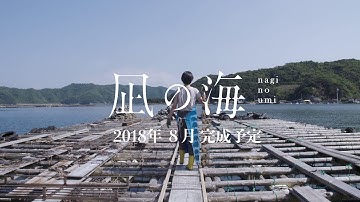 映画「凪の海」特報スポット