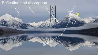 Absorption and reflection | Waves | Middle school physics | Khan Academy