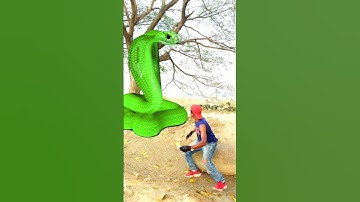 Anaconda snake in real life P58#shorts #short #snake #nagin #python #anaconda  #snakes #bigsnake