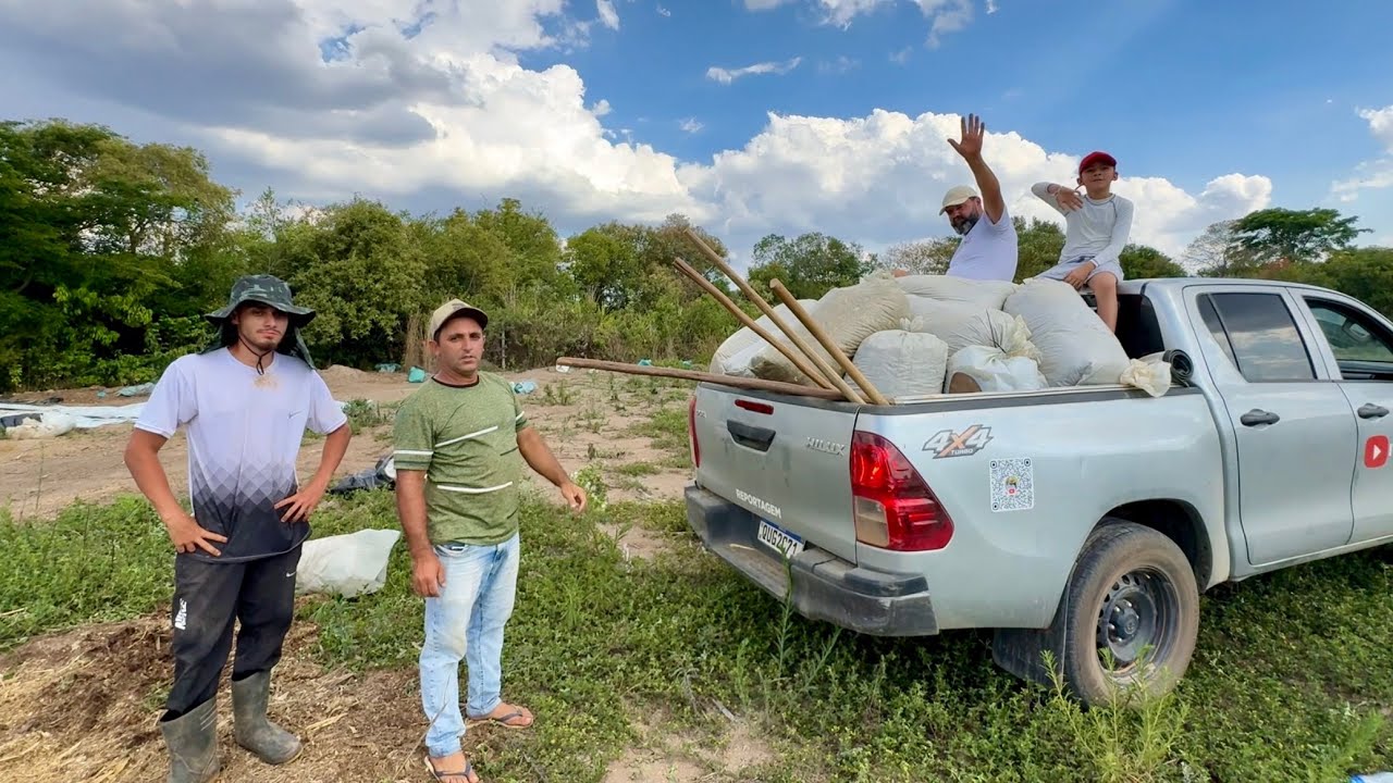 O TRABALHO NÃO PARA: BUSCANDO SILAGEM PRO GADO!