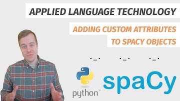 Adding custom attributes to spaCy objects