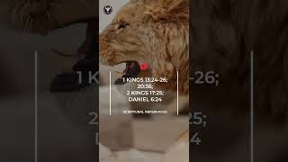 Prophetic Signs & Symbols: Being Chased by a Lion | Paul Iyare