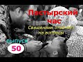 Пастырский час на радио "Град Петров". Выпуск 50
