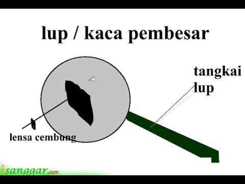 Penjelasan Cara Kerja Lup Kaca Pembesar Youtube