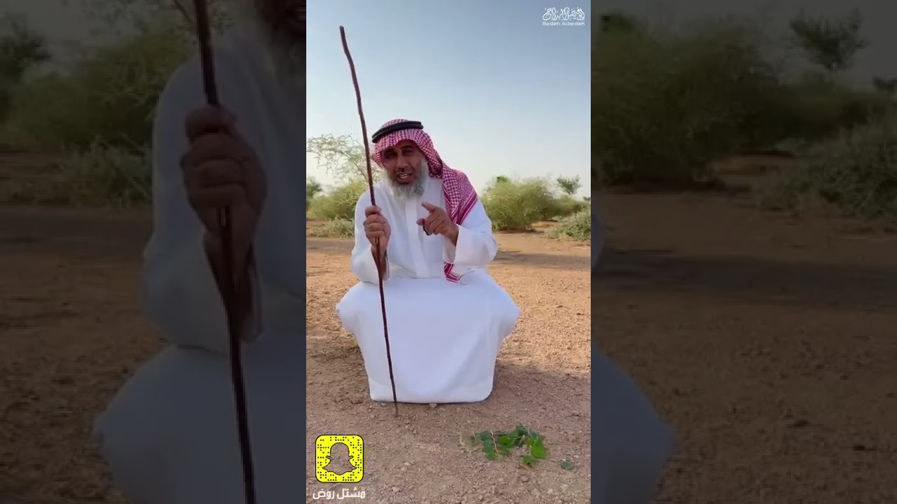 اكبر مشروع سدر محمية الجربوع