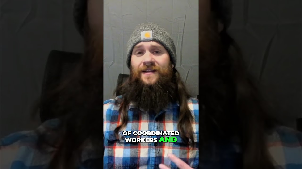 Ancient Civilization: Before Agriculture, We Built! 