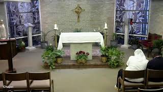 5-27-26: Wednesday pf the 8th week in Ordinary Time