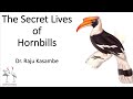 Delhibird talks the secret lives of hornbills raju kasambe
