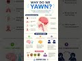 Why Do We Yawn? | Amazing Biology Facts