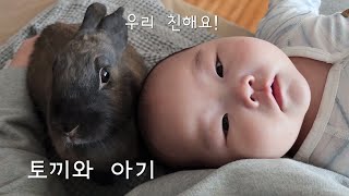 Rabbit becomes especially generous to baby