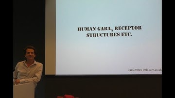 NeCEN Seminar - Radu Aricescu (MRC - LMB, UK) - 11 Sept 2019