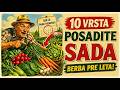 🚨 NEMOJTE ZAKASNITI! Deset vrsta povrća koje morate posaditi SADA za bogatu berbu pre leta!