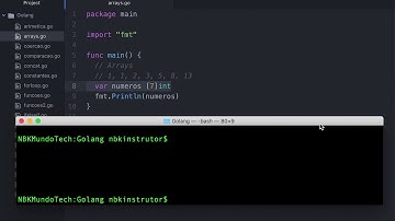 0010-25 Aprenda Arrays na Linguagem Go (Arranjo / Vetor) - Aula de Golang