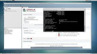 Oracle Database   How to Enable Archive Log Mode